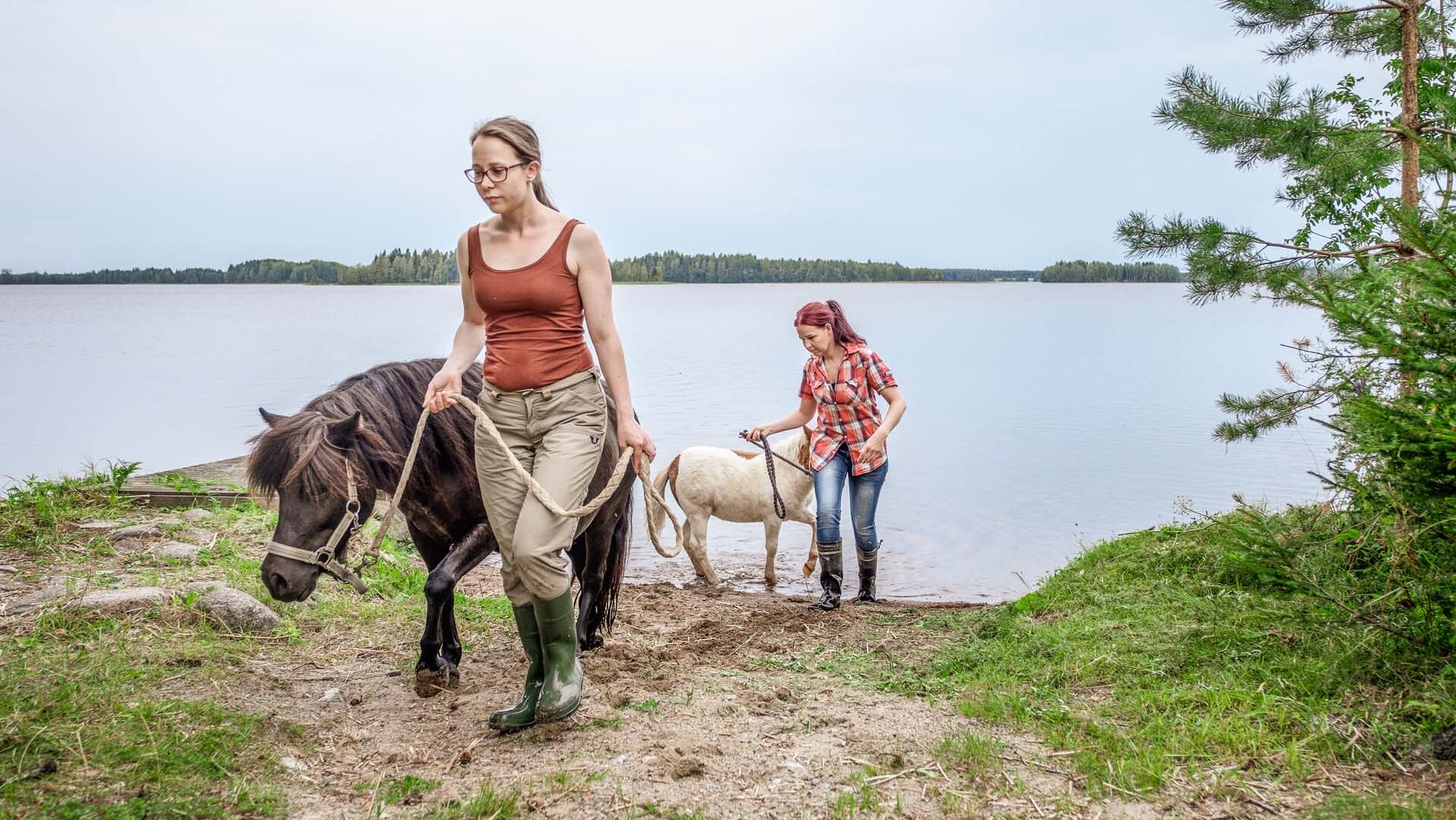 Kaksi agrologiopiskelijaa taluttamassa hevosia.