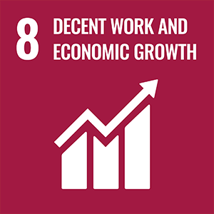 Goal 8 - Decent work and economic growth