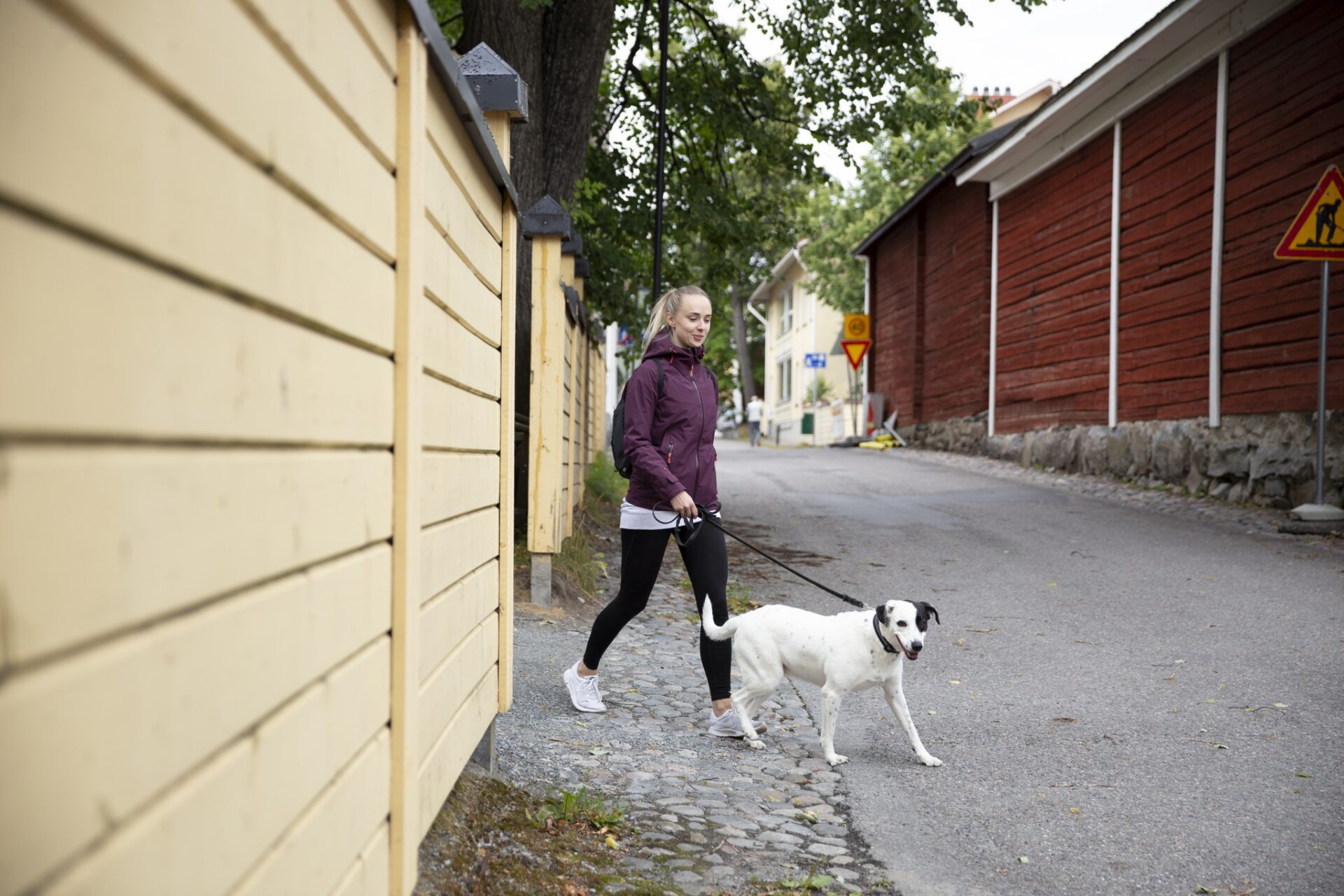Koiranulkoiluttaja Kuopiossa.