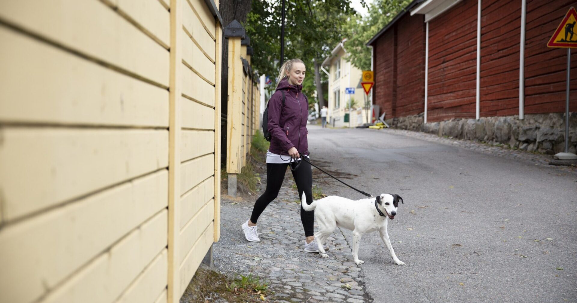 Koiranulkoiluttaja Kuopiossa.