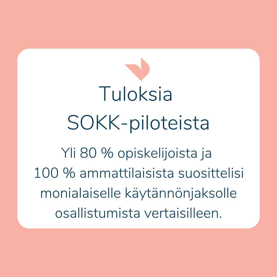 Tuloksia SOKK-piloteista.