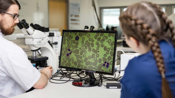 Bioanalyytikot käyttävät mikroskooppia.