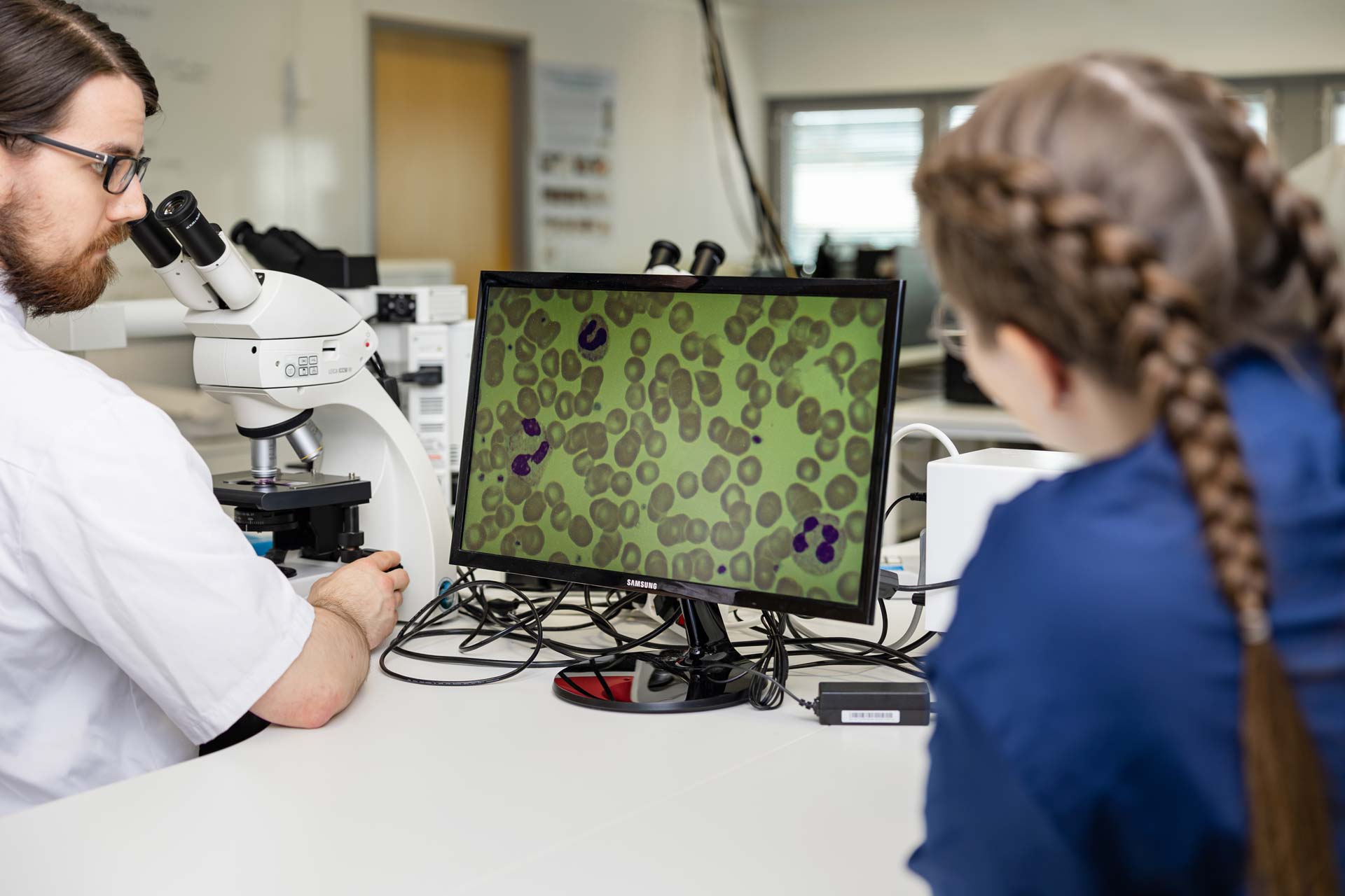 Bioanalyytikot käyttävät mikroskooppia.