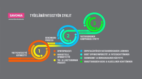 Kuva 2. Savonian työelämäyhteistyön syklit.