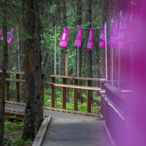 Vastuullisuus-viiripolku Puijon Majan esteettömällä kansipolulla.
