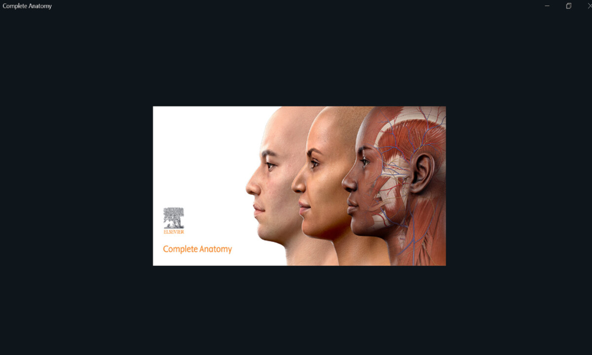 Anatomiakuva ihmispäistä