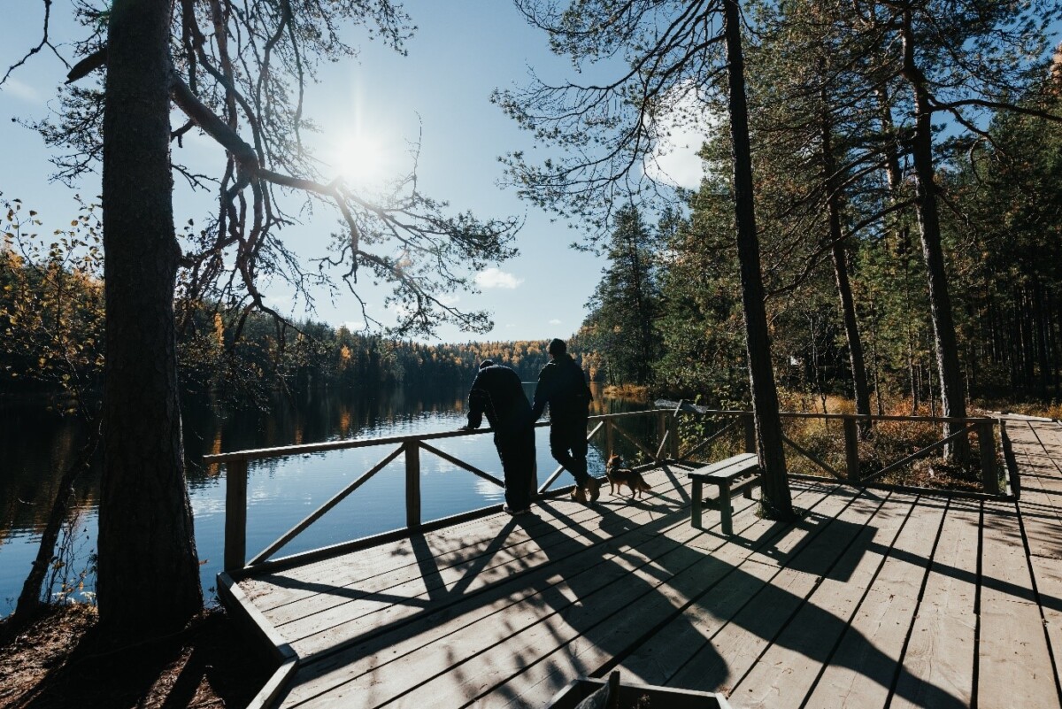 Ihmisiä seisomassa aurinkoisella laiturilla selkä kameraan.