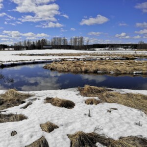 Kevättalvinen maisema, maa paikoitellen sula, osittain lumen peitossa. Keskellä sula oja.