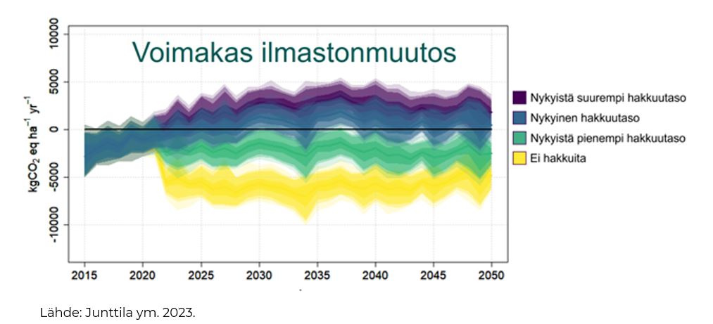 Taulukossa Metsäekosysteemin (maaperä ja kasvillisuus) nettohiilitase erilaisilla hakkuutasoilla.