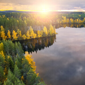Ilmakuva Harinjärvestä Joensuusta auringonnousun aikaan, kauniina syysaamuna.