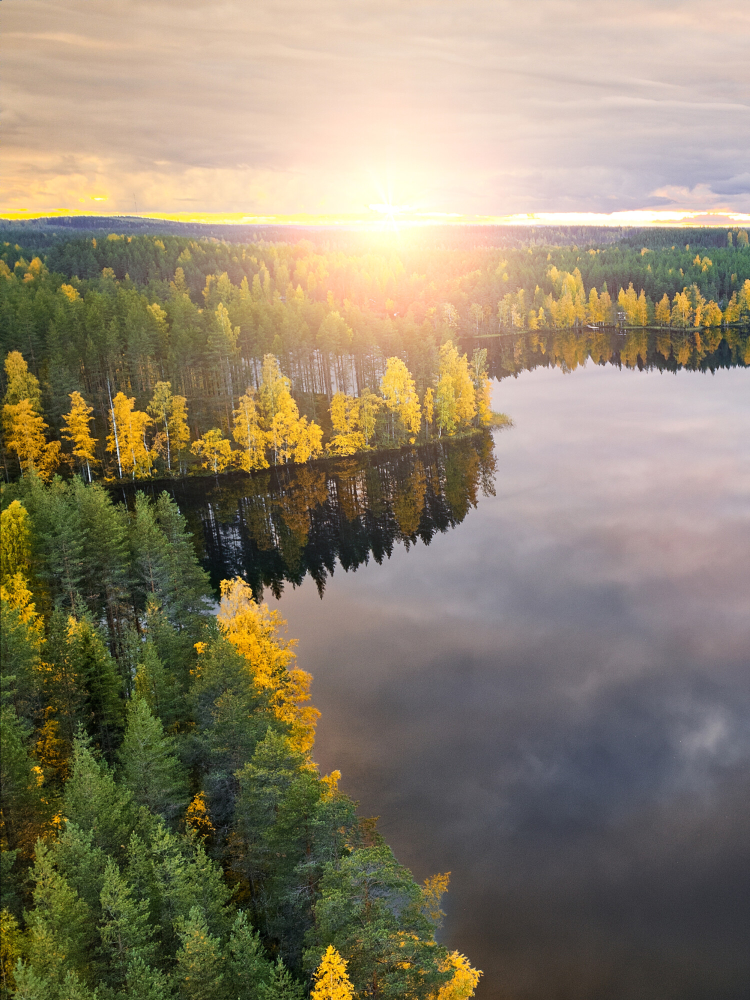 Ilmakuva Harinjärvestä Joensuusta auringonnousun aikaan, kauniina syysaamuna.