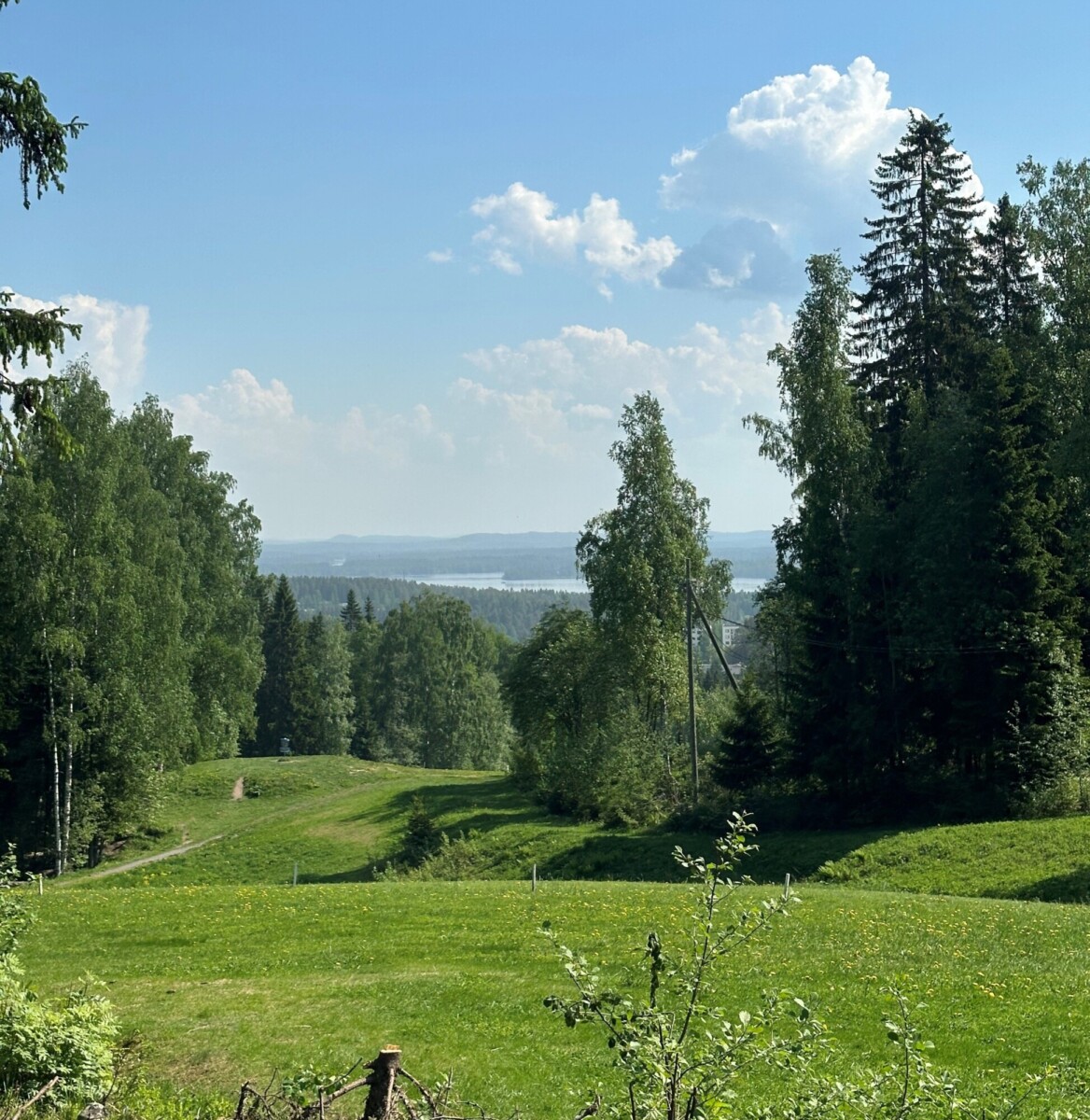 Kuva 1. Testipäivän näkymä Ylä-Antikkalan laavulla. Kuva: Katariina Moilanen.