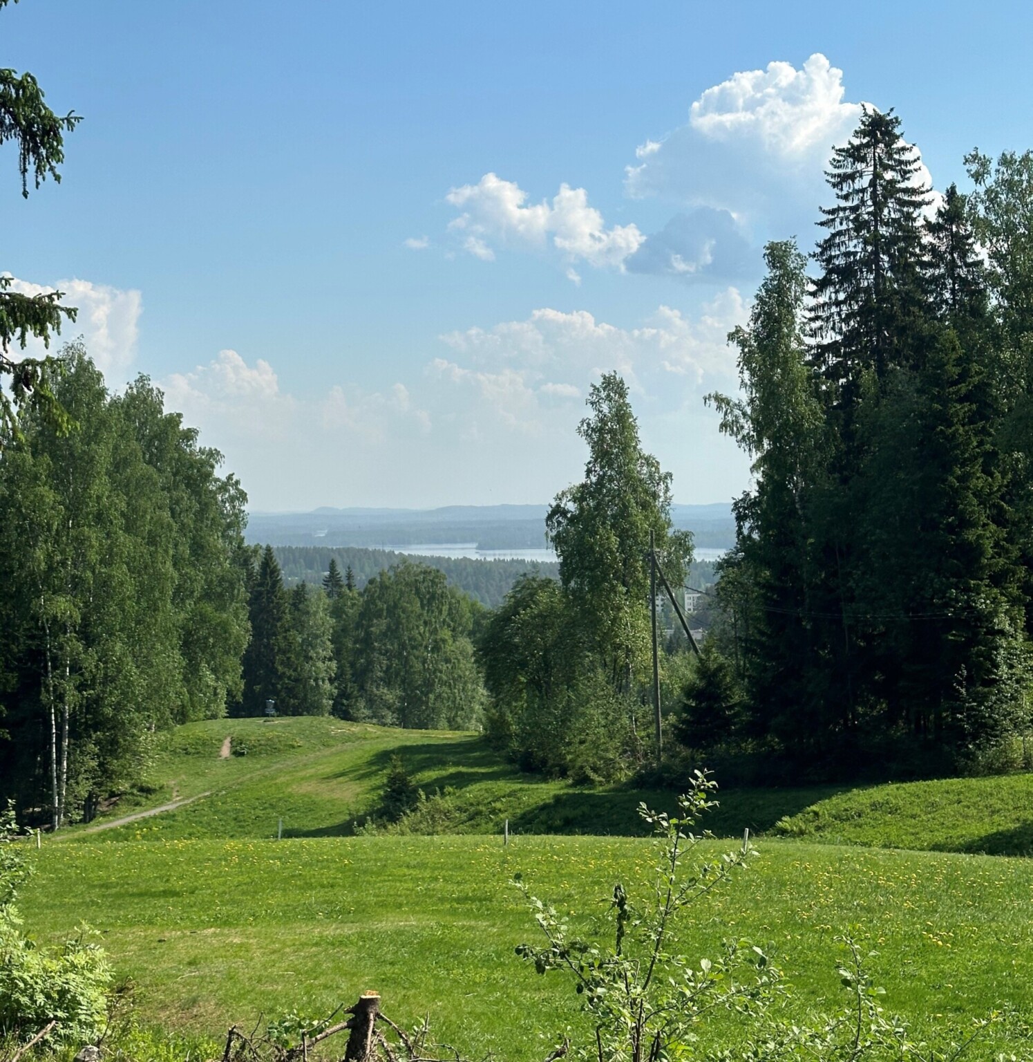 Livestriimi suorana luonnosta - Savonia-AMK