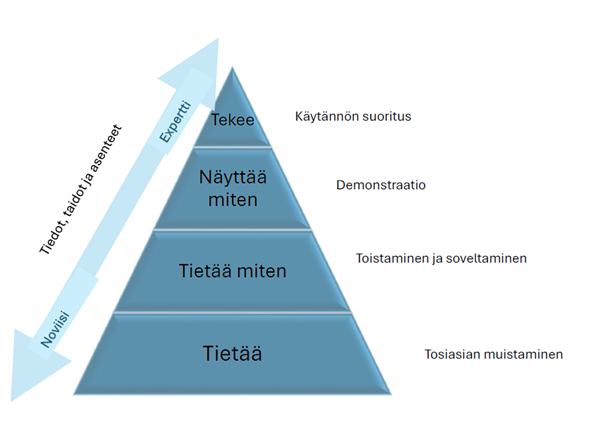 Kuvio 1: Millerin pyramidi.