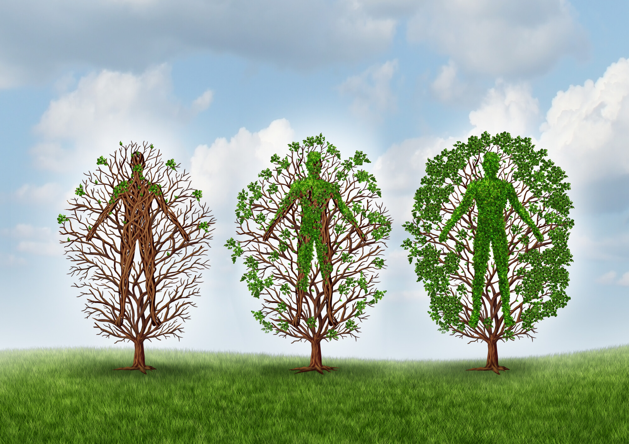 Kolme ihmishahmon muotoista puuta ruohikolla, jotka näyttävät eri kehitysaskeleita: yksi paljain oksin, yksi osittain lehtien peitossa ja yksi täysin lehtevä, symboloiden kasvua tai muutosta sinisen ja pilvisen taivaan alla.