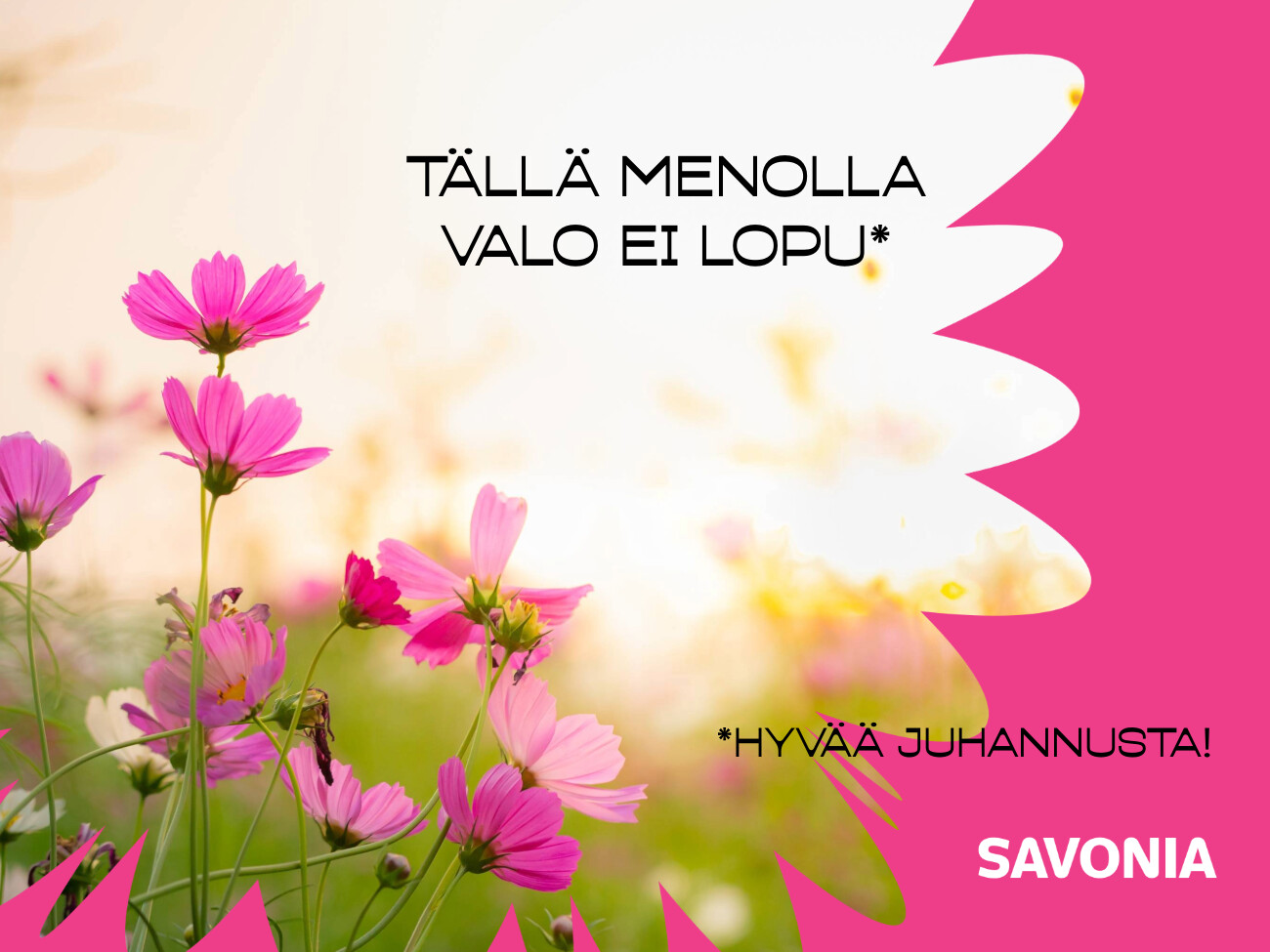 Vaaleanpunaisia kukkia pellolla kirkkaalla taivaalla. Suomenkielinen teksti: *Hyvää juhannusta! Savonia. Vaaleanpunaiset ja valkoiset graafiset elementit kehystävät tekstiä.