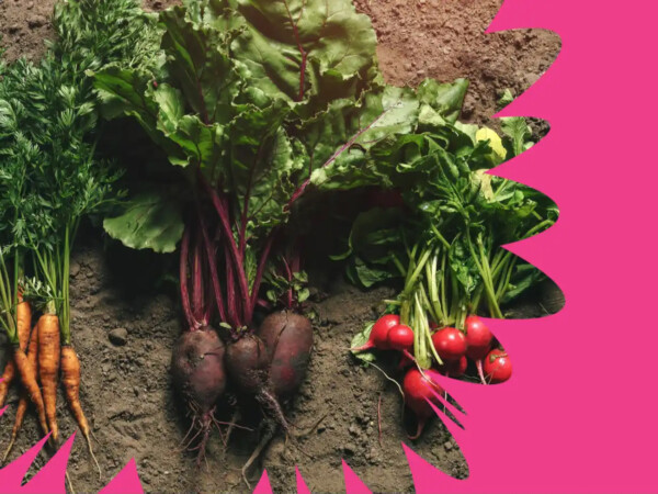 Genetiikan sovellukset luonnonvara-alalla