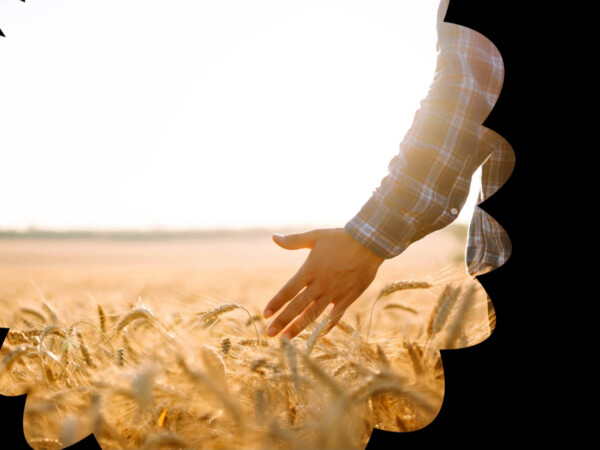 Luonnonvara-alan tutkimusmenetelmät