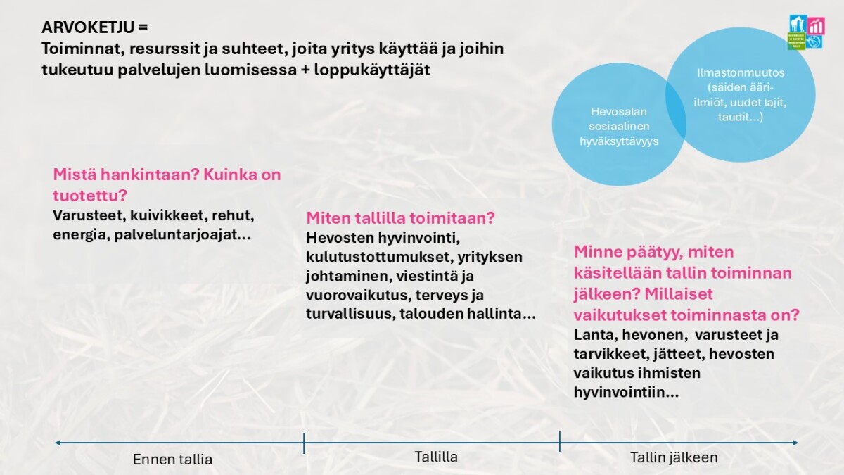 Suomenkielinen vuokaavio, joka selittää hevosalan arvoketjun. Sarakkeet Ennen tallia, Tallilla ja Tallin jälkeen kuvaavat resursseja, toimintoja ja vaikutuksia, mukaan lukien ympäristönäkökohdat.