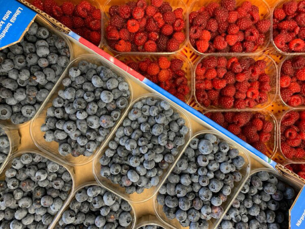 Tuoreilla mustikoilla ja vadelmilla täytetyt muovipakkaukset on järjestetty vinosti pahvilaatikkoon. Mustikat ovat vasemmalla ja vadelmat oikealla, mikä luo värikontrastin.