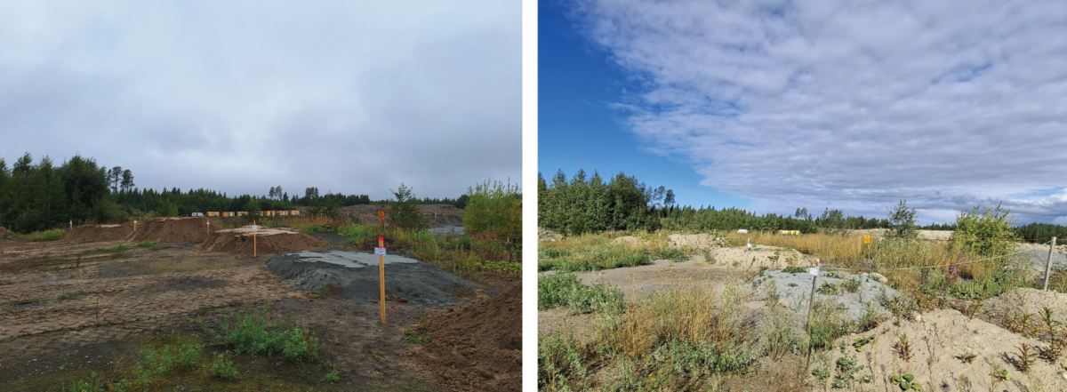 Vierekkäisissä kuvissa näkyy sama avoin peltoalue, jossa on harvaa kasvillisuutta, multaa ja pieniä puita; vasemmanpuoleisessa kuvassa on pilvinen taivas, ja oikeanpuoleisessa kuvassa kirkas auringonvalo ja osittain pilvinen taivas.