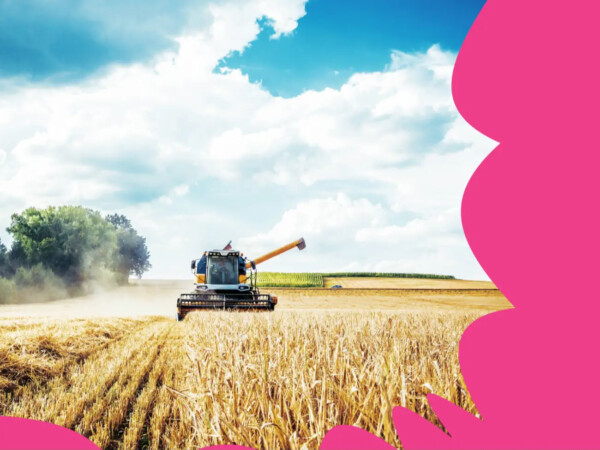 Maatilan sukupolvenvaihdos ja kehittäminen, Lean maataloudessa