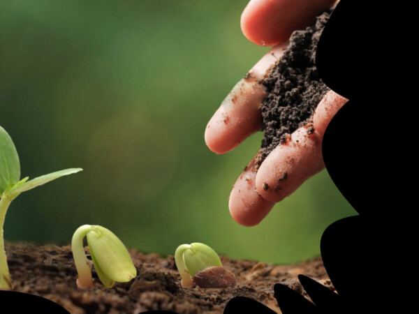 Kasvit, eläimet ja ympäristö RA25SM