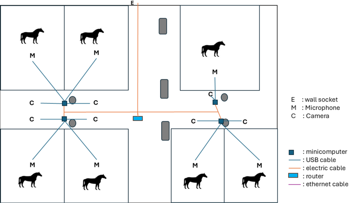 Kaaviossa näkyy neljä huonetta, joissa jokaisessa on hevonen, mikrofoni ja kamera. Minitietokoneet yhdistetään kameroihin USB-kaapeleilla ja reitittimeen ethernet-kaapeleilla. Myös seinäpistorasiat ja sähkökaapelit on esitetty.