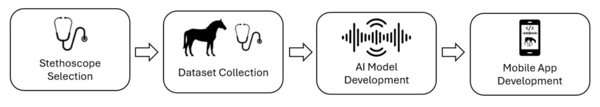 Neljävaiheinen vuokaavio: Stetoskoopin valinta, datasetin kerääminen (hevoskuvakkeella), tekoälymallin kehittäminen (ääniaaltokuvakkeella) ja mobiilisovelluksen kehittäminen (älypuhelinkuvakkeella), jotka on yhdistetty nuolilla.