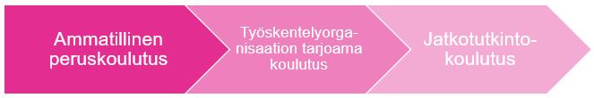 Kolme nuolta vasemmalta oikealle osoittaa vaiheet: Ammatillinen peruskoulutus, Työskentelyorganisaation tarjoama koulutus ja Jatkotutkintokoulutus. Taustan värit siirtyvät tummasta vaaleanpunaiseen.