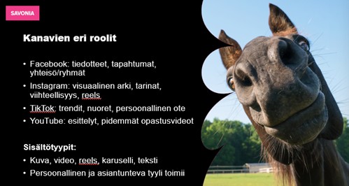 Lähikuva uteliaasta hevosen naamasta, jonka nenä osoittaa oikealla olevaan kameraan. Vasemmalla musta laatikko, jossa on suomenkielistä tekstiä ja jossa kerrotaan sosiaalisen median kanavista ja niiden sisältötyypeistä.