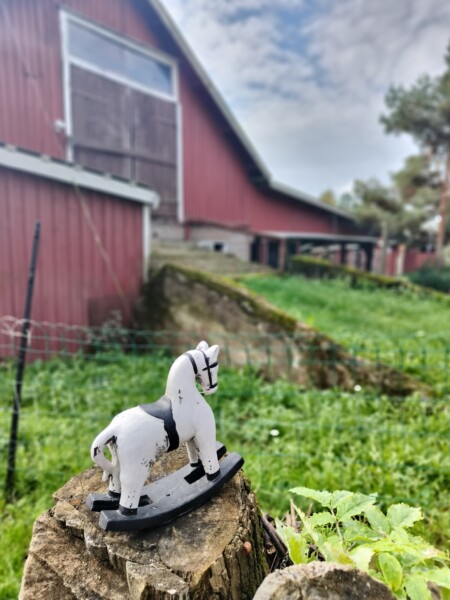 Pieni puinen keinuhevonen istuu etualalla puun kannon päällä, ja taustalla näkyy punainen lato ja vihreää ruohoa osittain pilvisen taivaan alla.