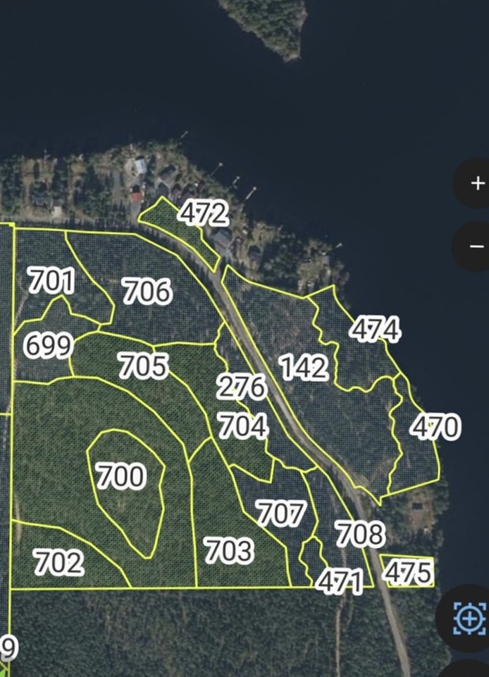 Satelliittikartalla näkyy metsäalue, joka on jaettu keltaisella rajattuihin numeroituihin lohkoihin. Kartan oikeassa reunassa kulkee tie, ja vesi reunustaa kartan ylä- ja oikeaa reunaa.