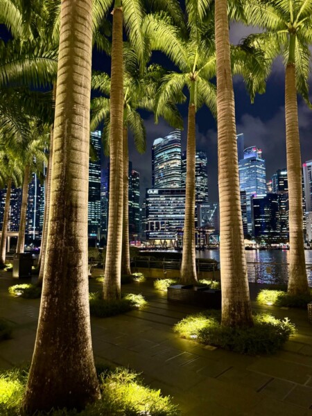 Korkeat palmupuut, joita maavalot valaisevat, reunustavat yöllistä kävelytietä, ja taustalla on moderni, kirkkaasti valaistu pilvenpiirtäjä, joka heijastuu vedestä kaupunkikuvassa.