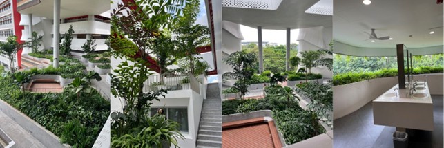 Kuvakollaasi, jossa on moderni rakennus, jossa on rehevä sisätilojen vehreys, suuret ikkunat, valkoiset seinät, puinen kävelytie, portaat ja vessatilat, joissa on lavuaarit, joista on näkymät ulkona oleviin puihin.