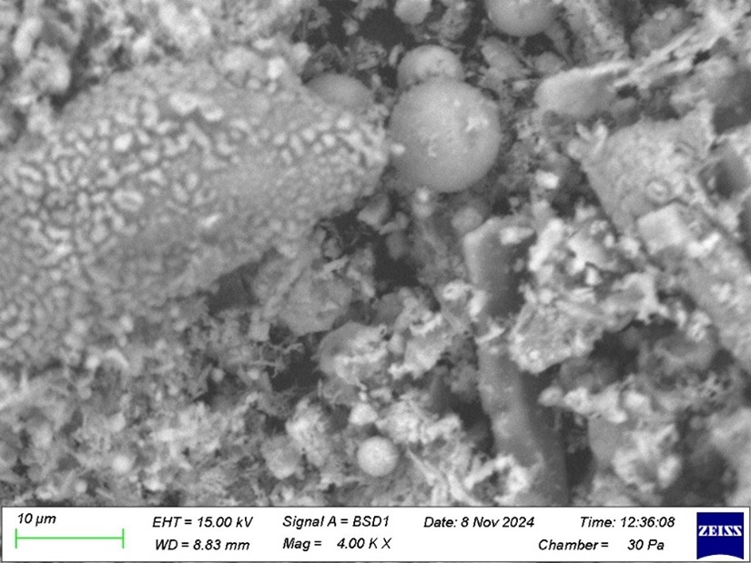 Mustavalkoinen elektronimikroskooppikuva, jossa näkyy erilaisia pieniä, epäsäännöllisiä hiukkasia ja pallomaisia muotoja ryhmittyneinä yhteen. Mittakaavapalkki osoittaa 10 mikrometriä. Kuvan tiedot ja merkinnät näkyvät alareunassa.
