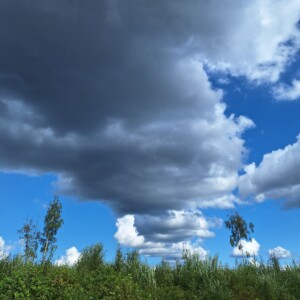 Tummia, raskaita pilviä kohoaa vihreän, vehreän maiseman ja joidenkin puiden ylle, ja taustalla on kirkkaan sinistä taivasta ja valkoisia pilviä.