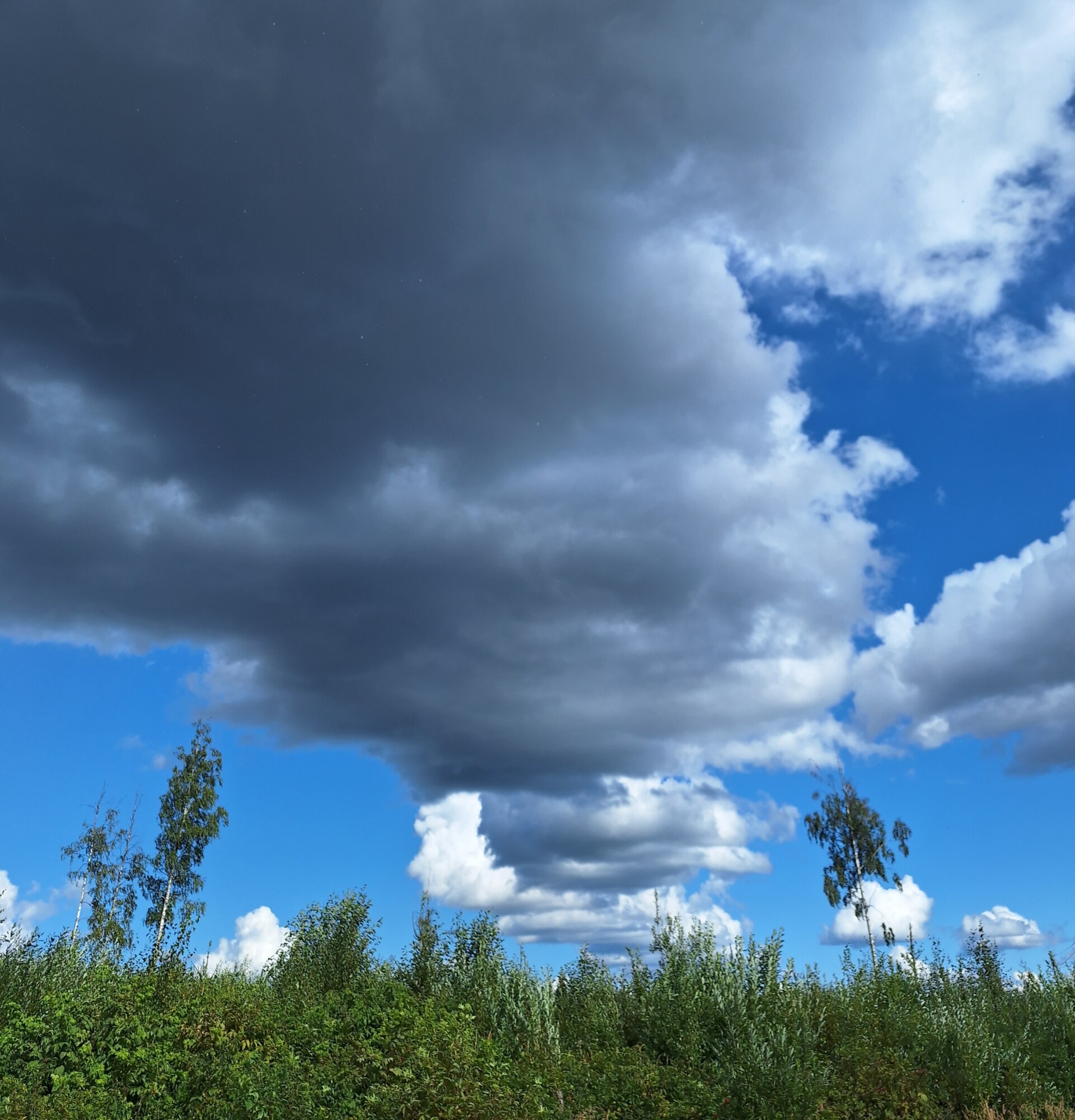 Tummia, raskaita pilviä kohoaa vihreän, vehreän maiseman ja joidenkin puiden ylle, ja taustalla on kirkkaan sinistä taivasta ja valkoisia pilviä.