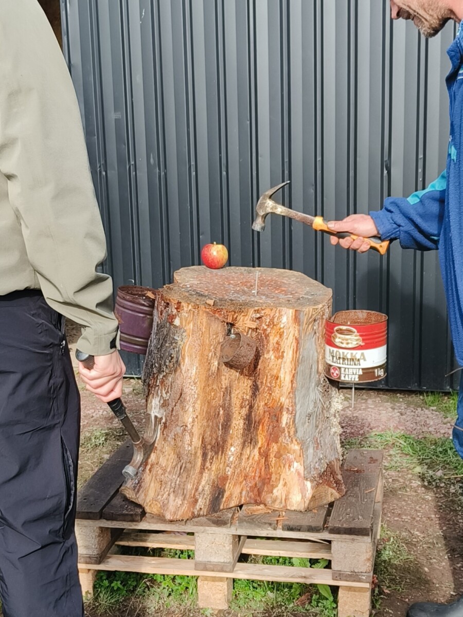 Kaksi ihmistä seisoo suuren puun kannon vieressä puulavoilla. Toisella on kädessään vasara, joka tähtää kannossa olevaan naulaan, ja toisella on kädessään kirves. Omena istuu kannon päällä. Taustalla on metallinen vaja ja tynnyreitä.