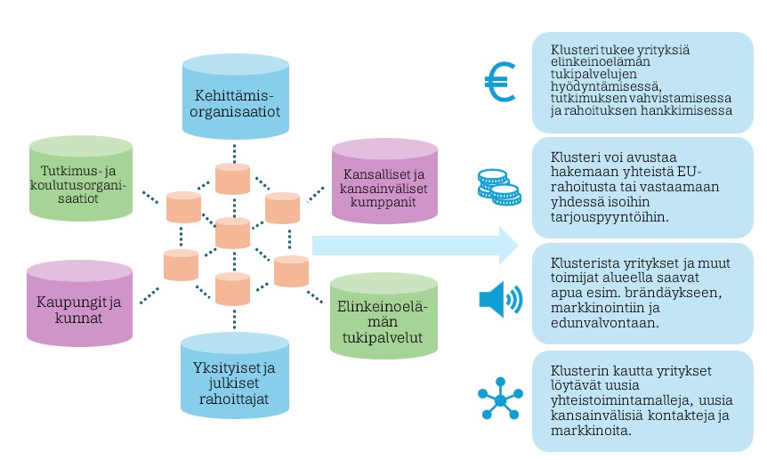 Suomenkielisessä vuokaaviossa eri organisaatiot (tutkimus, kaupungit, rahoittajat, yhteistyökumppanit) yhdistyvät keskitettyyn "kehittämisorganisaatioon", josta on linkki yritystukipalveluihin ja kolmeen siniseen infolaatikkoon, joissa kuvataan yritysklusterin etuja.