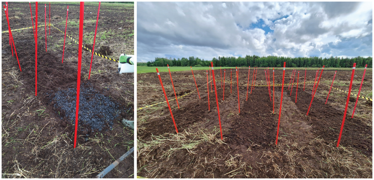Kaksi kuvaa pellosta, joka on merkitty korkeilla punaisilla paaluilla ja keltaisella varoitusnauhalla. Vasemmassa kuvassa näkyy tumma aine maastossa; oikeassa kuvassa on paalurivejä pilvisen taivaan alla, ja taustalla on vihreitä puita.