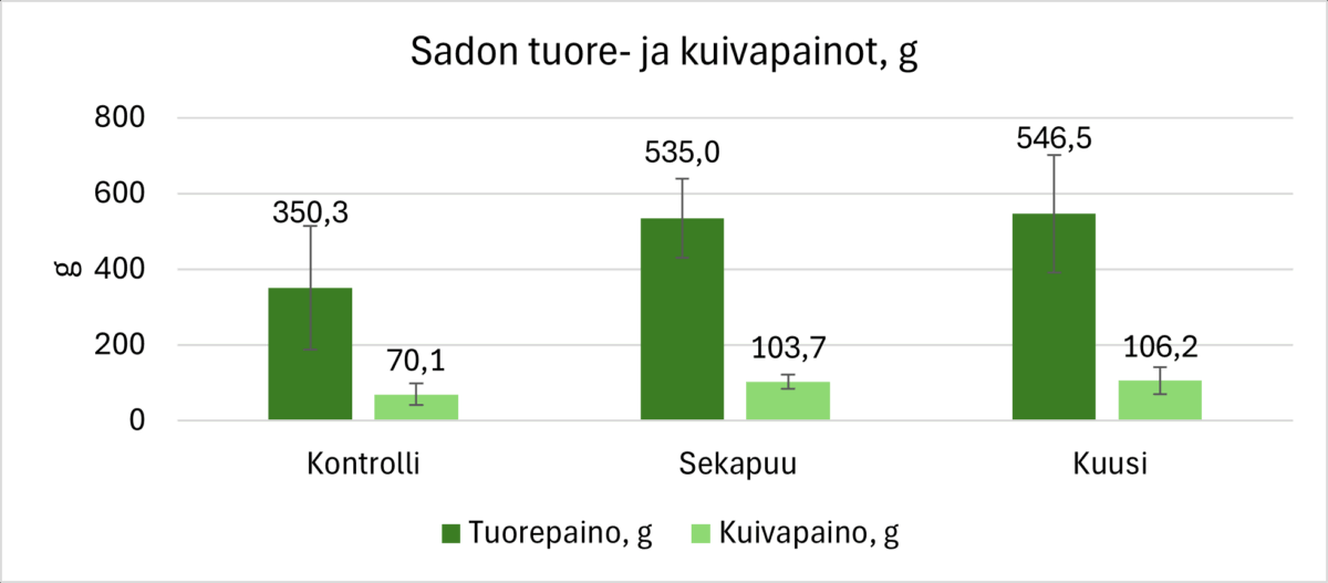 Kolmen ryhmän (Kontrolli, Sekapuu, Kuusi) pylväsdiagrammi, jossa vertaillaan tuorepainon ja kuivapainon tuottoa grammoina. Kussakin ryhmässä on kaksi palkkia: korkeampi tummanvihreä palkki (tuorepaino) ja lyhyempi vaaleanvihreä palkki (kuivapaino).