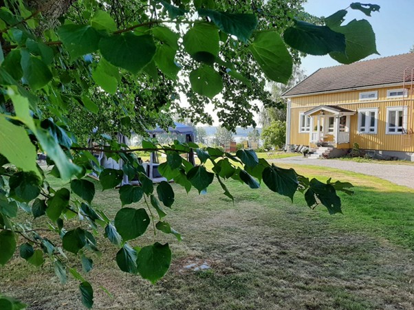 Vihreät lehdet etualalla peittävät osittain näkymän keltaiseen puutaloon, jossa on valkoinen reunus, pieni kuisti ja ruohoinen piha aurinkoisena päivänä.