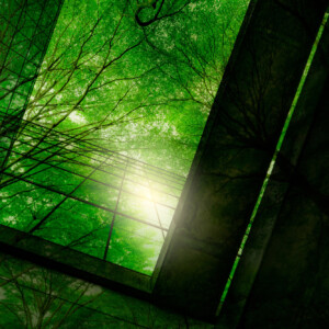 Auringonvalo paistaa vihreiden puiden latvuston läpi geometristen lasipaneelien ja heijastusten läpi, mikä luo luonnon ja arkkitehtuurin abstraktin, kerroksellisen vaikutelman.