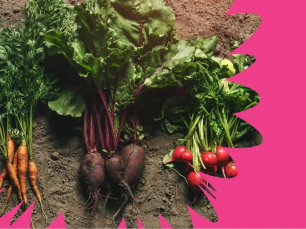 Genetiikan sovellukset luonnonvara-alalla