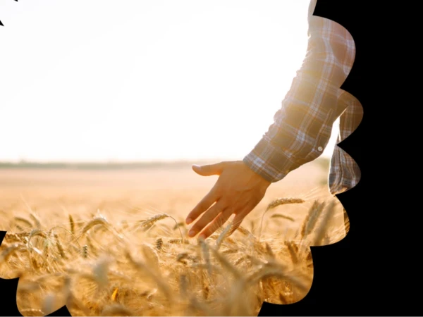 Luonnonvara-alan tutkimusmenetelmät