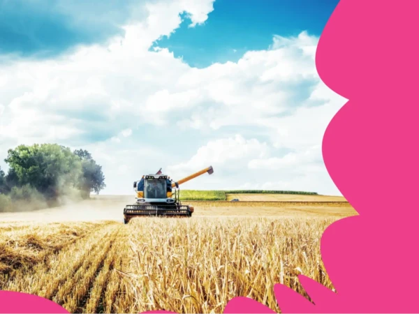 Maatilan sukupolvenvaihdos ja kehittäminen, Lean maataloudessa