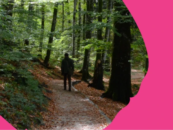 Itsensä johtaminen muutoksessa (Master)