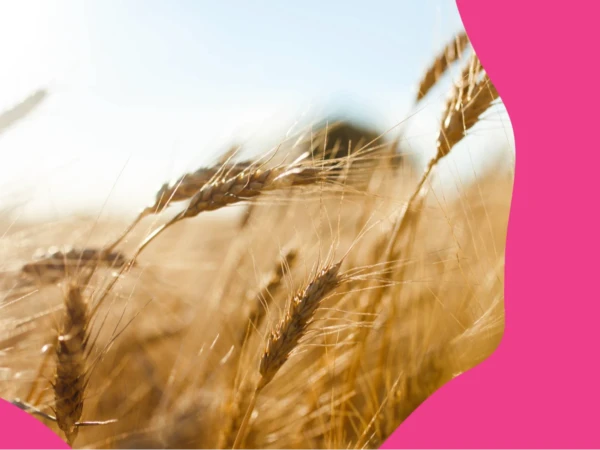 Hyvinvointia ruokainnovaatioilla