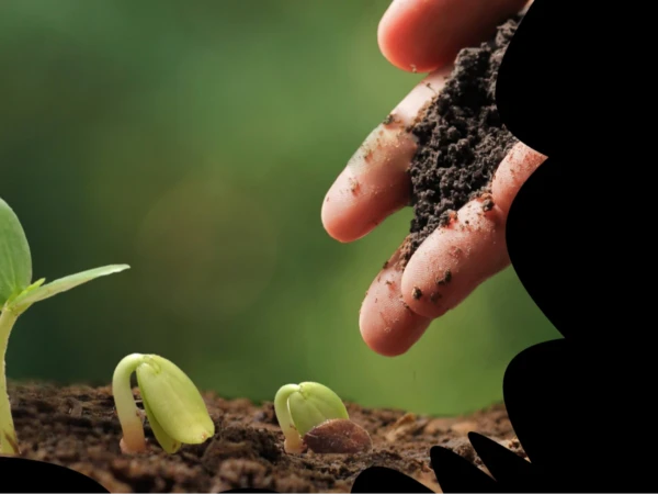 Kasvit, eläimet ja ympäristö RA25SM